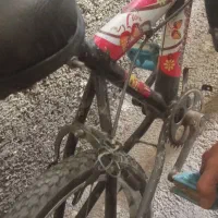 دوچرخه 16 و رینگ|دوچرخه، اسکیت، اسکوتر|شیروان (خراسان), |دیوار