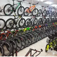 دوچرخه ترکدار سبدار گل گیر فلزی تایر بادی