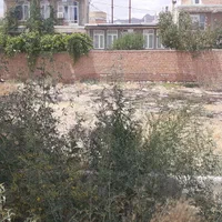 زمین تفکیک شده شهرداری در نوشین شهر بمساحت ۲۴۷.۵|فروش زمین و ملک کلنگی|نوشین شهر, |دیوار
