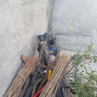 پلاکی آدرس جایدشت