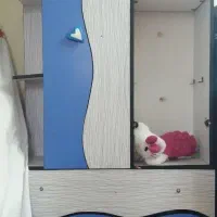 کمد بچه جنس خوب|جاکفشی، کمد، دراور|تایباد, |دیوار