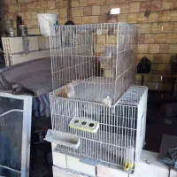 قفس پرنده سالم برای دونه واب خوری