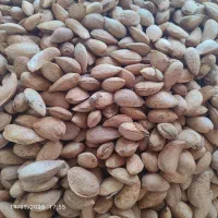 فروش بادام