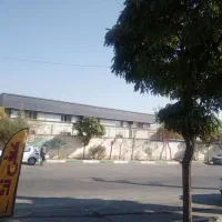 همکار خانم کافی نت بومهن