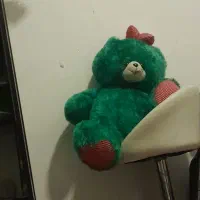 عروسک خرس خیلی بزرگ|اسباب‌بازی بچه|دوگنبدان, |دیوار