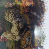 کارگر اقا برای مرغداری