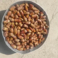 خرما فروشی و خریدار خرما|خوردنی و آشامیدنی|سراوان, |دیوار