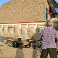 کاه نیشکر (باگاس)تحویل یکروز کشت امروزی//