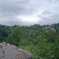 «ویلا اجاره‌ای جنگلی»|اجارهٔ کوتاه‌مدت ویلا و باغ|لنگرود, |دیوار