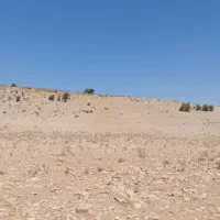 فروش زمین 1000 متری بعلت مهاجرت