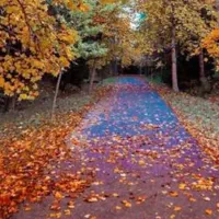 اجاره کوتاه مدت (آب هوای پاک)