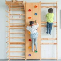 نردبان سوئدی ، پگ بورد ، دار حلقه