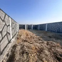 سند-دار-باغچه-انگوری-باغ-زمین
