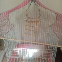 قفس بزرگ طوطی عروس