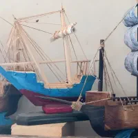 مجموعه کشتی ها و ماهی دباغی شده