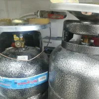 انواع پیک نیک