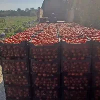 الوند 90|خودرو سنگین|اهواز, اهواز|دیوار