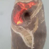 چراغ خواب  تنه طبیعی درخت