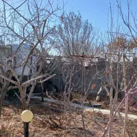 باغچه کاری ویلا .|خدمات باغبانی و درختکاری|اراک, |دیوار