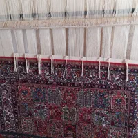 فرش دست باف|فرش|چنارود, |دیوار