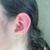 پر س ی ن گ|بدلیجات|ایلام, |دیوار