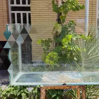آکواریوم شیشه ششمیل