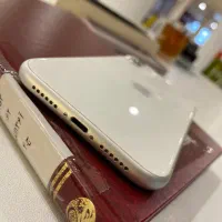 آیفون ۱۱ پلمپ|موبایل|بابل, |دیوار