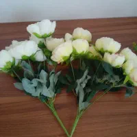 گل پیونی و گلدان
