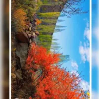 جویای کار هستم