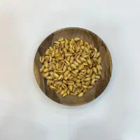 فروشنده آجیل
