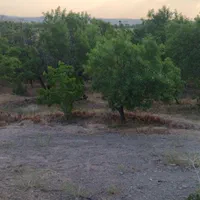 زمین در نوبران خوش آب و هوا|فروش زمین و ملک کلنگی|تهران, آبشار|دیوار