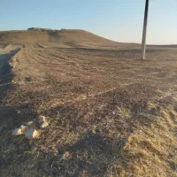 زمین کشاورزی|فروش دفتر صنعتی، کشاورزی، تجاری|کوهدشت, |دیوار