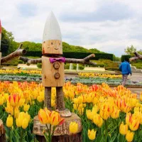 / تور و بلیت استانبول وان باکو  ارمنستان/|تور و چارتر|تبریز, |دیوار