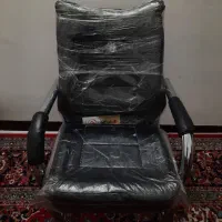 صندلی انتظار سناتور