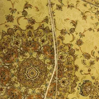 ریسه سالم نو