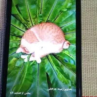 شیامی ردمی 10A