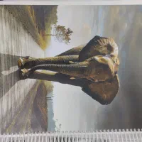 کتب کنکوری زیست شناسی|کتاب و مجله آموزشی|اسلامشهر, شهرک محمدیه|دیوار