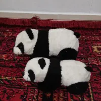 عروسک خرسی|اسباب‌‌بازی|قرچک, شهرک گلها|دیوار