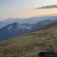 نیازمند به زامن وام ازدواج