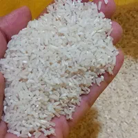 برنج شمال|خوردنی و آشامیدنی|مشهد, همت آباد|دیوار