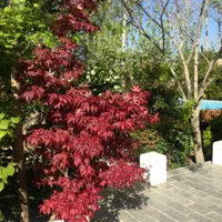 باغ ویلای دوبلکس بهشت|اجارهٔ کوتاهمدت ویلا و باغ|اصفهان, پارک مشتاق|دیوار