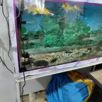 فروش آکواریوم با پایه فروزه وسائل کامل|ماهی|اصفهان, جلفا|دیوار