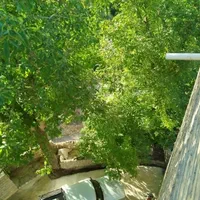 اجاره روزانه/هفتگی/ماهانه آپارتمان ۵۰ متری|اجارهٔ کوتاه‌مدت آپارتمان و سوئیت|چناران, |دیوار