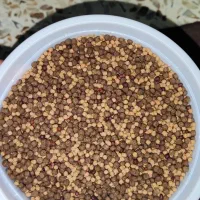 میکس غذای گوشتخار|ماهی|شیراز, نصرآباد|دیوار