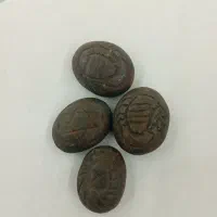هبهاب مغربی