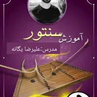 آموزش سنتور به صورت تضمین.ی/خصوصی یا در مدرسه فا