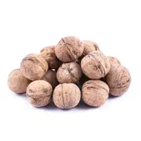 گردو