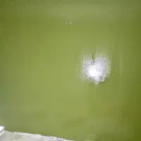 نقاشی ساختمان|خدمات پیشه و مهارت|اراک, |دیوار