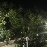 فروش-باغ-2000-متری-جهاداباد