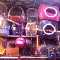 لوازم سگ وگربه|لوازم جانبی حیوانات|گلبهار, شهر جدید گلبهار|دیوار